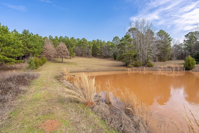 view of local wilderness featuring a water view