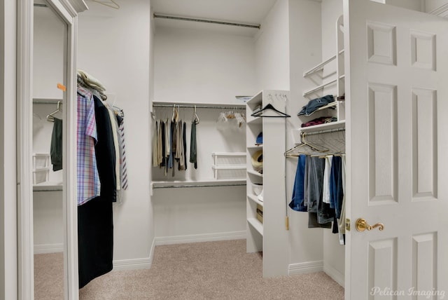 spacious closet featuring carpet flooring