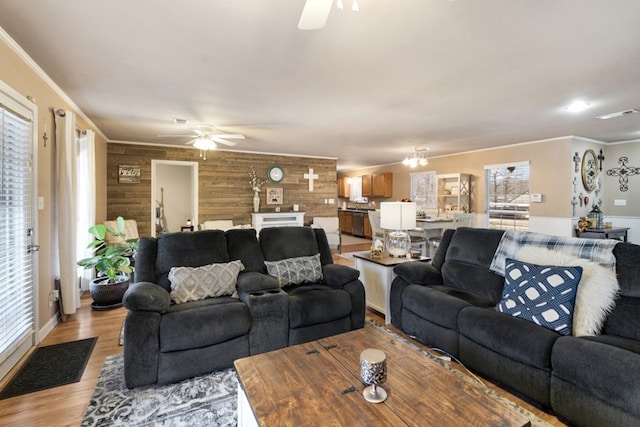 living area featuring ornamental molding, light wood finished floors, visible vents, and a ceiling fan