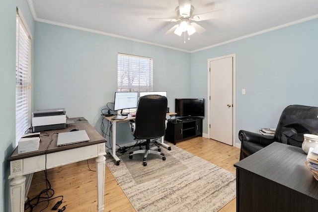 office with ornamental molding, light wood-type flooring, and a ceiling fan