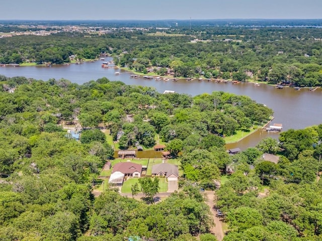 birds eye view of property with a water view and a forest view