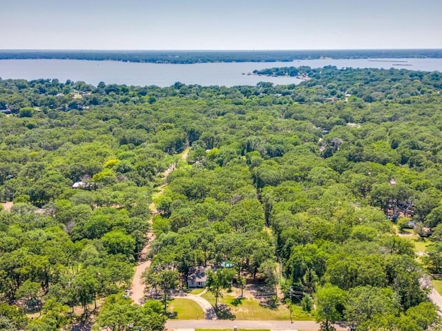 bird's eye view with a water view and a wooded view