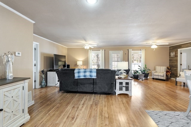 living room with a ceiling fan, light wood-type flooring, crown molding, and a textured ceiling