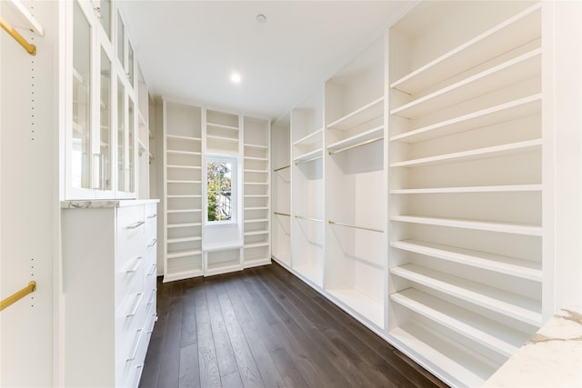 walk in closet featuring dark wood finished floors