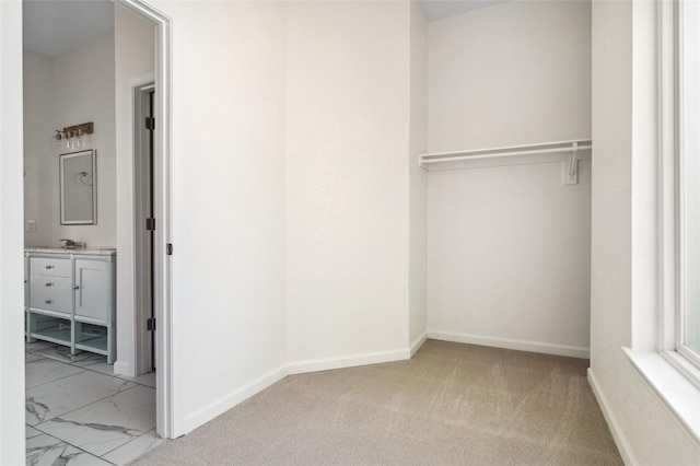 closet featuring a sink