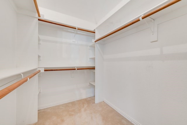 spacious closet featuring light carpet