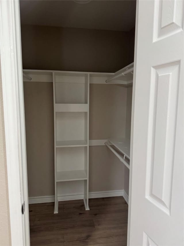 spacious closet featuring wood finished floors