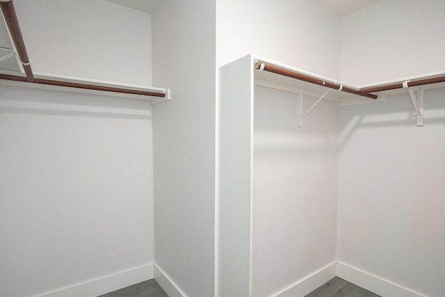 spacious closet featuring wood finished floors