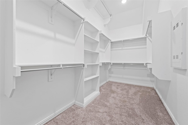 spacious closet featuring carpet