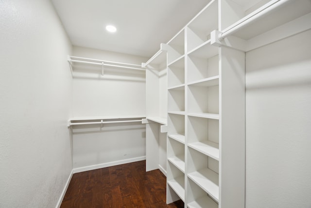 walk in closet featuring wood finished floors