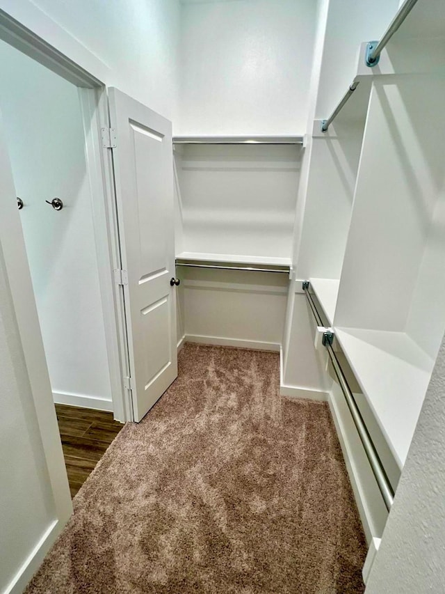 walk in closet featuring carpet flooring