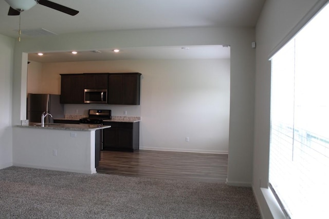 kitchen with dark colored carpet, appliances with stainless steel finishes, a sink, and recessed lighting