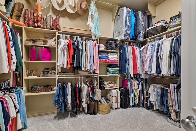 spacious closet with carpet floors