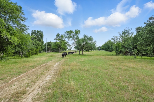 TBD County Road 4772, Sulphur Springs, TX 75482