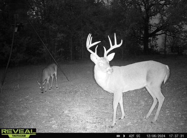TBD County Road 4772, Sulphur Springs, TX 75482
