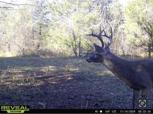 TBD County Road 4772, Sulphur Springs, TX 75482