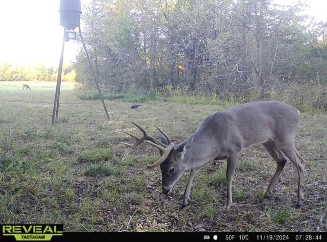 TBD County Road 4772, Sulphur Springs, TX 75482