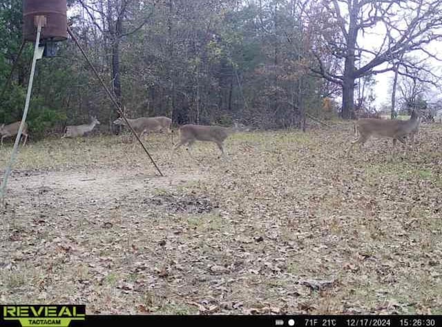TBD County Road 4772, Sulphur Springs, TX 75482