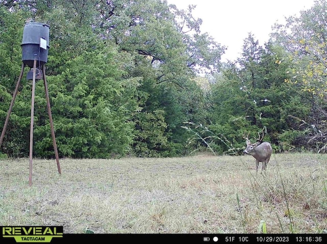 TBD County Road 4772, Sulphur Springs, TX 75482