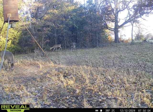 TBD County Road 4772, Sulphur Springs, TX 75482
