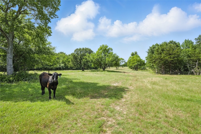 TBD County Road 4772, Sulphur Springs, TX 75482