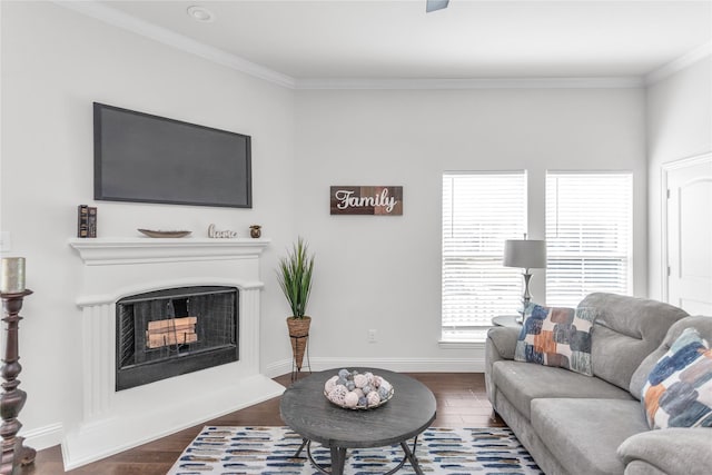 living area featuring a fireplace with raised hearth, ornamental molding, dark wood finished floors, and baseboards