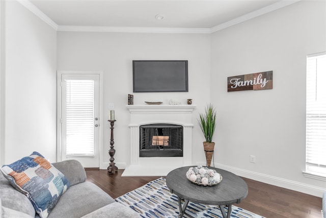 living area featuring a fireplace with raised hearth, ornamental molding, wood finished floors, and baseboards