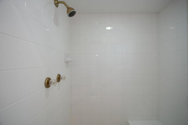 interior details featuring tiled shower