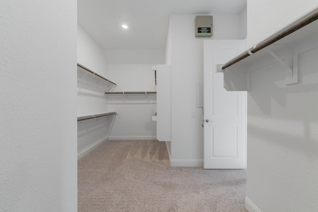 walk in closet featuring carpet floors