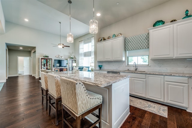 kitchen featuring open floor plan, a healthy amount of sunlight, a sink, and dark wood-style floors