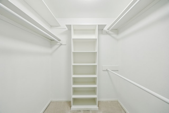 walk in closet featuring carpet