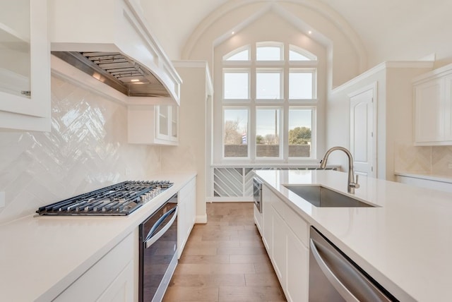 kitchen featuring appliances with stainless steel finishes, a sink, light countertops, premium range hood, and backsplash