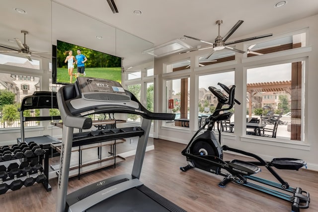 exercise room featuring a ceiling fan, baseboards, and wood finished floors