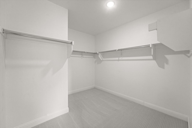 walk in closet with carpet flooring