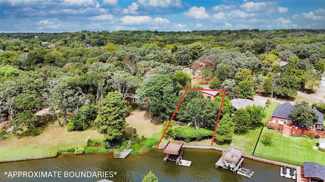 birds eye view of property featuring a water view and a view of trees