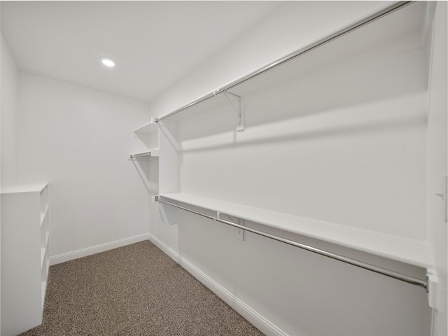 spacious closet with carpet floors