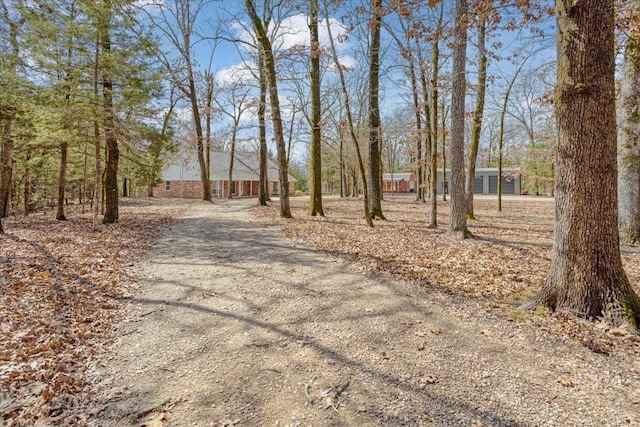 view of street with driveway