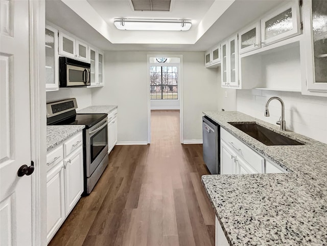 kitchen featuring stainless steel appliances, a sink, visible vents, a tray ceiling, and dark wood finished floors