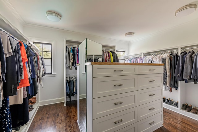 spacious closet featuring dark wood-style flooring