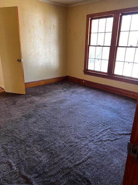 spare room featuring carpet floors, ornamental molding, and baseboards