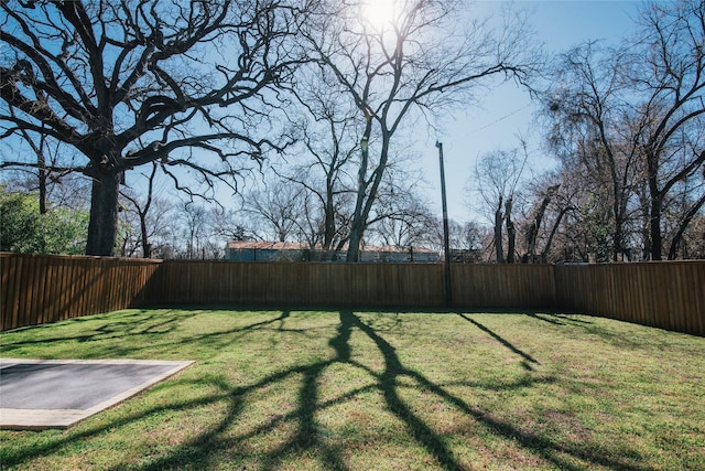 view of yard featuring a fenced backyard and a patio