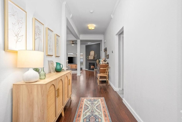 hallway with dark wood finished floors, crown molding, and baseboards