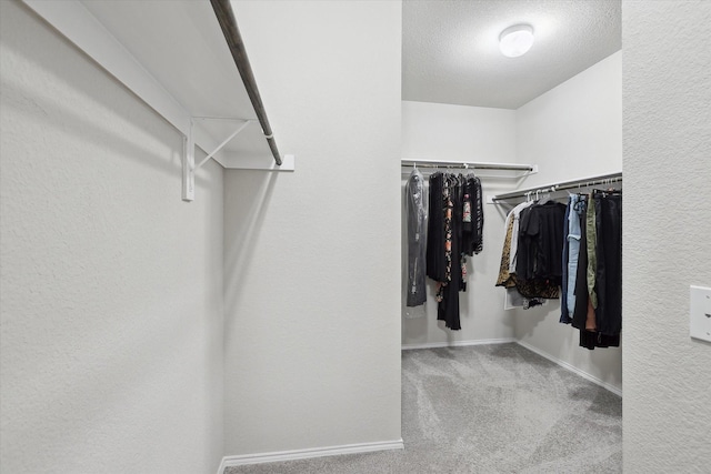 walk in closet with carpet floors