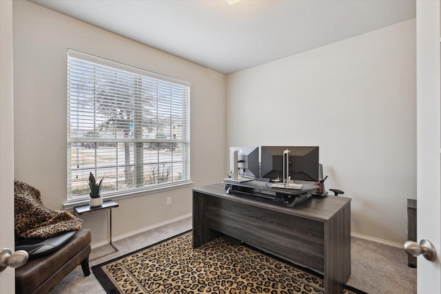 office featuring carpet flooring and baseboards