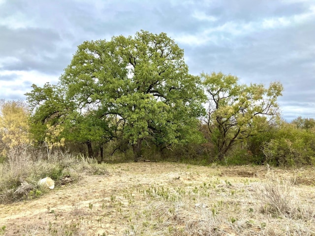 TBDLOT10 Fm 880, Moran TX, 76464 land for sale