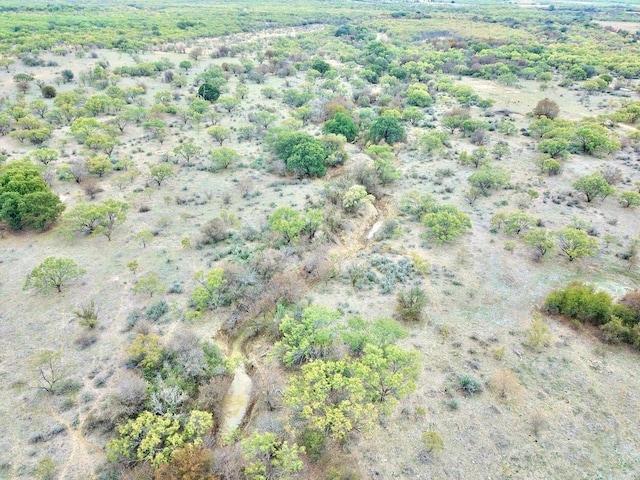 Listing photo 3 for TBDLOT10 Fm 880, Moran TX 76464