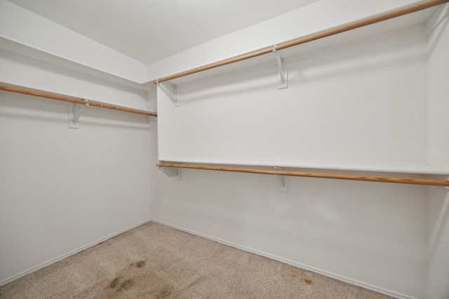 spacious closet with light carpet