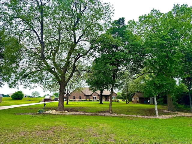 exterior space featuring a lawn