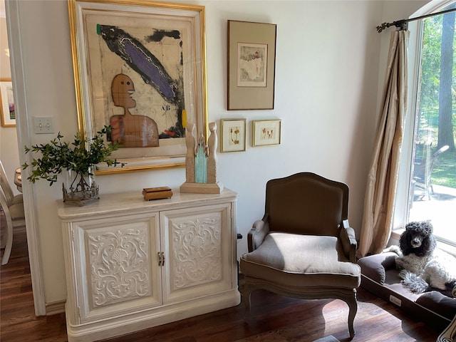 living area featuring wood finished floors