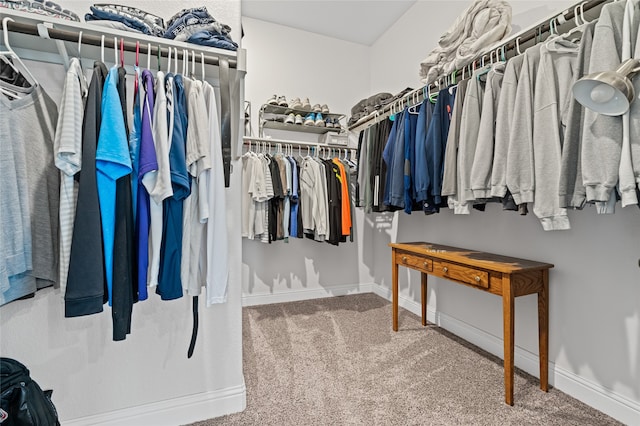 walk in closet with carpet floors